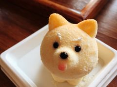 柴犬蛋糕-柴犬高等学院·狗咖·柴犬售卖·宠物训练