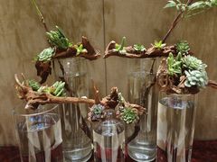 -上海浦东绿地铂骊酒店