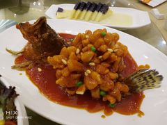 松鼠桂鱼-金时代顺风大酒店(协泰店)