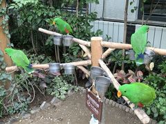 -南宫五洲植物乐园