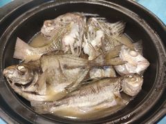 -御唐府海珊瑚主题餐厅
