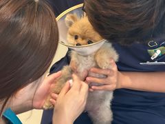 -美迦爱-牙专科·兔科·骨科诊疗中心(北苑店)