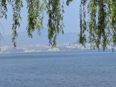 -洱海月湿地公园