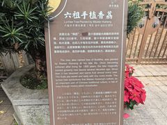 -国恩寺