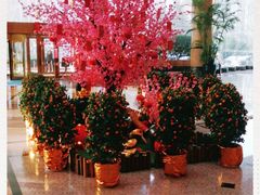 -南京维景国际大酒店(南京博物院店)