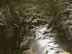 -二连浩特国家地质公园