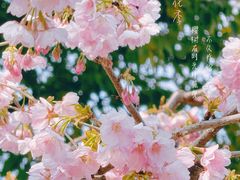 -静安雕塑公园