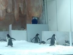 -威海华夏城景区