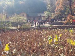 -韶山毛泽东同志故居