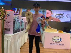 -青奢宠物·青奢猫舍