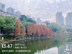 -重庆彩云湖湿地公园