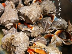 红里螺-日丰园海肠水饺·老字号大连海鲜(和平广场店)