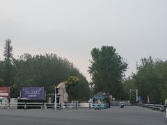 -合肥滨湖国家森林公园