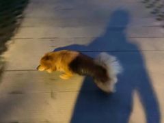 -85度C(深圳富士康店)