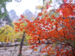 -石门坊