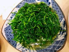 -食客三千·老家