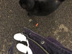 -星巴克臻选(上海长风大悦城店)