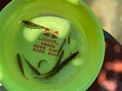 -吉姆冒险世界(蓟州店)