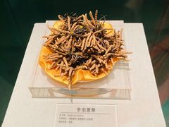 -青藏高原自然博物馆