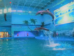 -多彩贵州城极地海洋世界