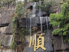 -三水森林公园