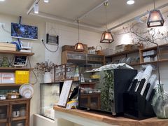 -AHAVA·Fang Baking Studio