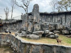 -武汉动物园