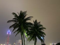 -万绿园