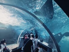 -江和美海洋公园