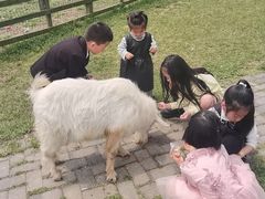 -田园东方蜜桃村的田野营地