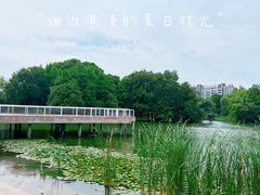 -新江湾城公园