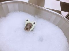 -Oh My Dog宠物沙龙(伊珊娜皮毛护理店)