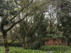 -西南交通大学(峨眉校区)