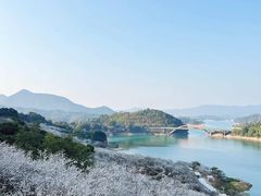 -广州市流溪河国家森林公园