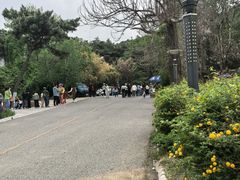 -燕塞湖鸟语林景区