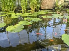 -国家植物园南园