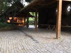-海南槟榔谷黎苗文化旅游区