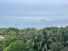 -海南清水湾莱佛士酒店