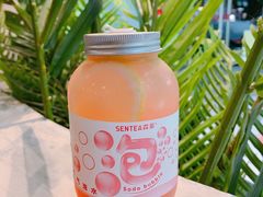 -SENTEA森茶(麦地丽日店)