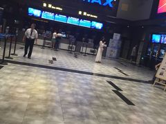 -万达影城(蜀都万达广场IMAX店)