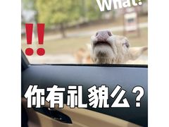 -常州淹城野生动物世界