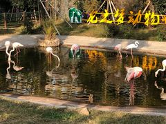 -太湖龙之梦