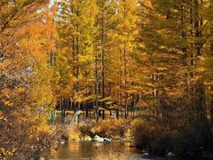 -养云安缦吧THE BAR