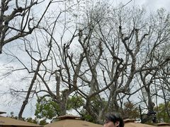 -满记甜品(湖滨店)