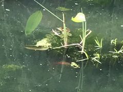 -白水寺森林公园