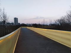 -云碧峰国家森林公园