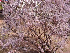 -荆州中山公园动物园