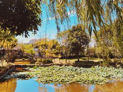 -鼓岭旅游度假区