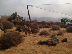 -重庆市江北嘴中央商务区中央公园