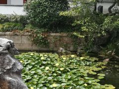 -东山雕花楼